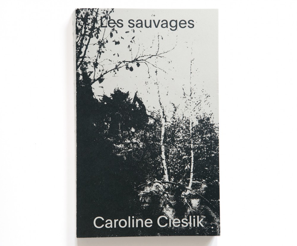 Les &Eacute;ditions - © Le Centre d'art GwinZegal